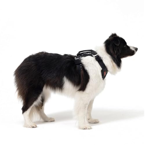 EzyDog Drive Dog Car Harness, Crash Tested and Certified - Medium