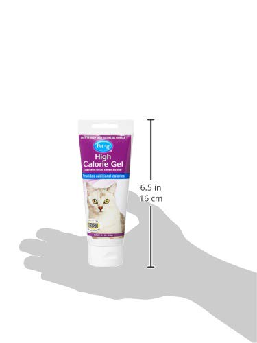 PetAg High Calorie Gel Supplement for Cats (3.5 oz)
