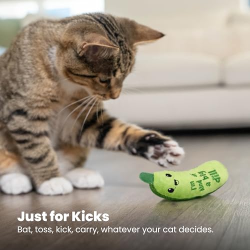 Catstages Crunchy Pickle Kicker Chew Cat Toy, Catnip & Dental Mesh, 6.5"