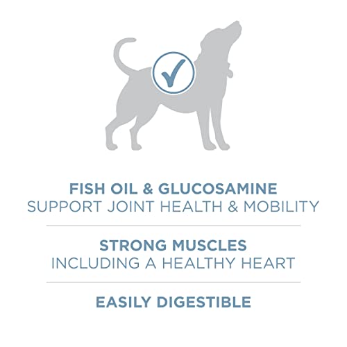 Purina ONE Plus Joint Health Dry Dog Food, Chicken