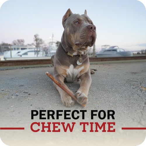 Redbarn Pet Products All Natural 5"-8" Bully Sticks for Small & Large Dogs - Healthy Long Las (8 oz)