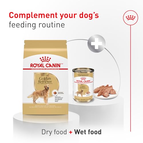 ROYAL CANIN Golden Retriever Adult Dry Dog Food