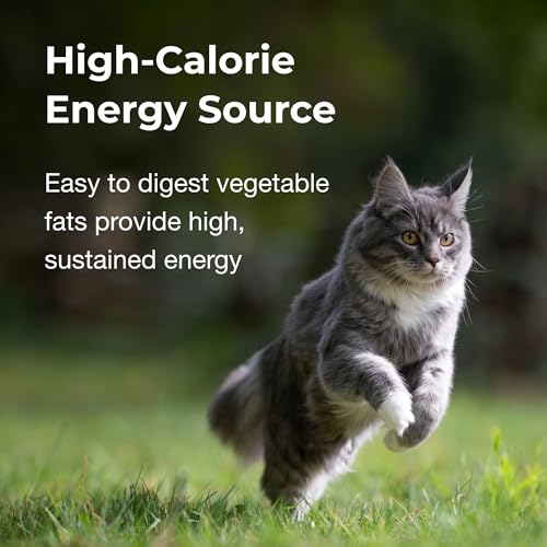 PetAg High Calorie Gel Supplement for Cats (3.5 oz)