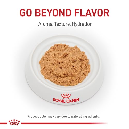 ROYAL CANIN Veterinary Diet Feline and Canine Recovery Adult Ultra Soft Mousse in Sa