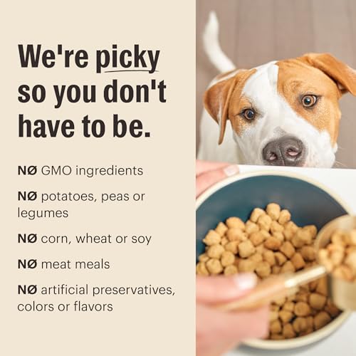 The Honest Kitchen Whole Food Clusters Whole Grain Chicken & Oat Dry Dog Food