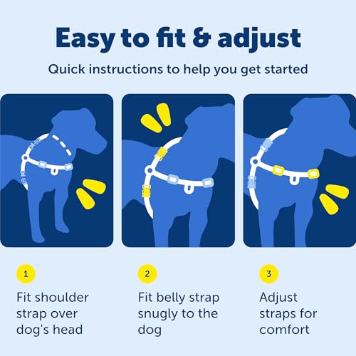 PetSafe Easy Walk Harness, No Pull Dog Harness, Charcoal Gray, Medium/Large