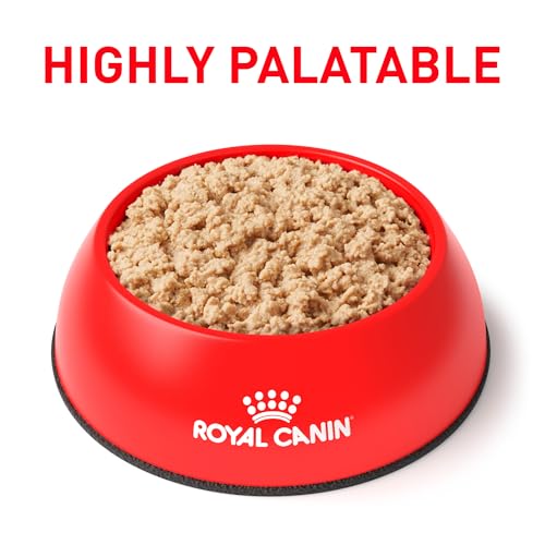 ROYAL CANIN Veterinary Diet Feline and Canine Recovery Adult Ultra Soft Mousse in Sa
