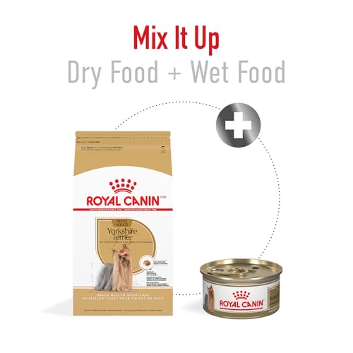 ROYAL CANIN Yorkshire Terrier Adult Dry Dog Food