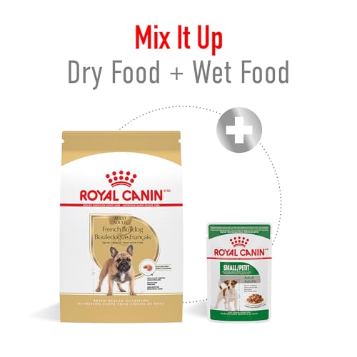 ROYAL CANIN French Bulldog Adult Dry Dog Food