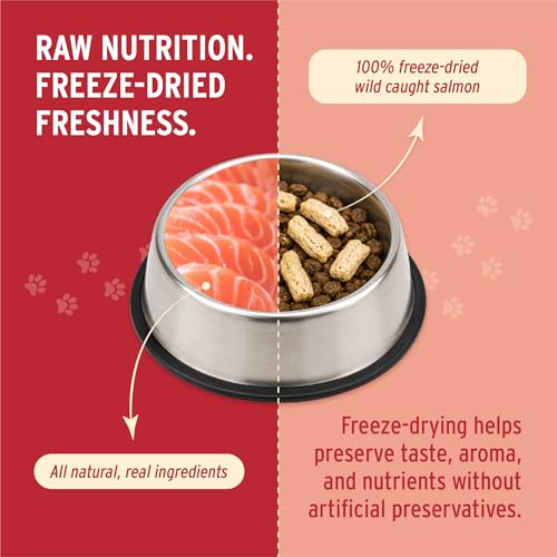 Nutri Bites Freeze Dried Salmon Dog & Cat Treats, Single Ingredient (14 oz)