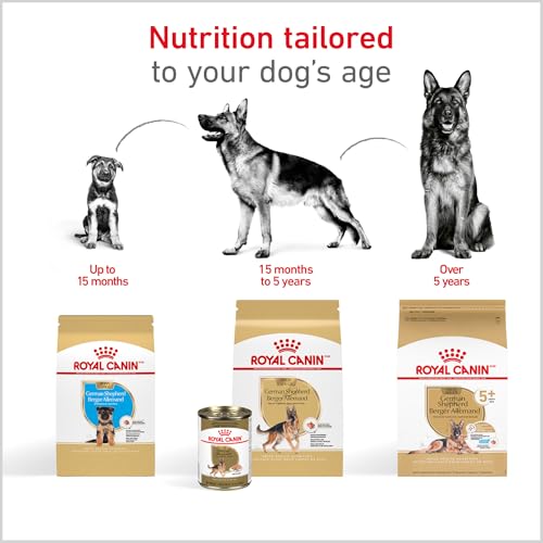 ROYAL CANIN German Shepherd Adult Dry Dog Food