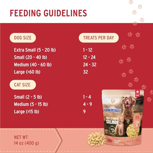 Nutri Bites Freeze Dried Salmon Dog & Cat Treats, Single Ingredient (14 oz)