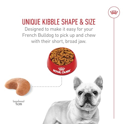 ROYAL CANIN French Bulldog Adult Dry Dog Food