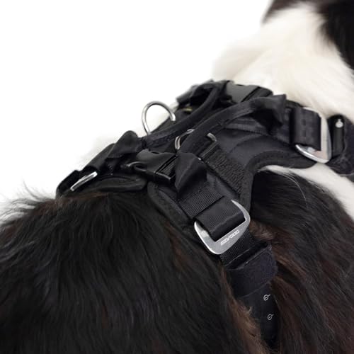 EzyDog Drive Dog Car Harness, Crash Tested and Certified - Medium