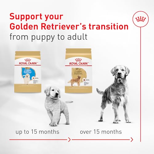 ROYAL CANIN Golden Retriever Adult Dry Dog Food