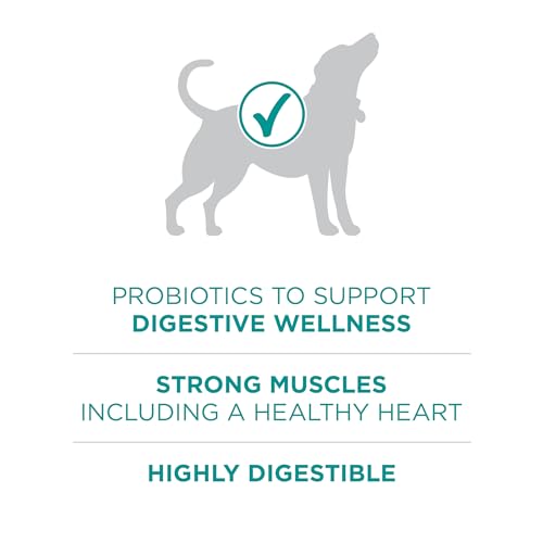 Purina ONE Plus Digestive Health Formula Dry Dog Food Natural with Added Vitamins