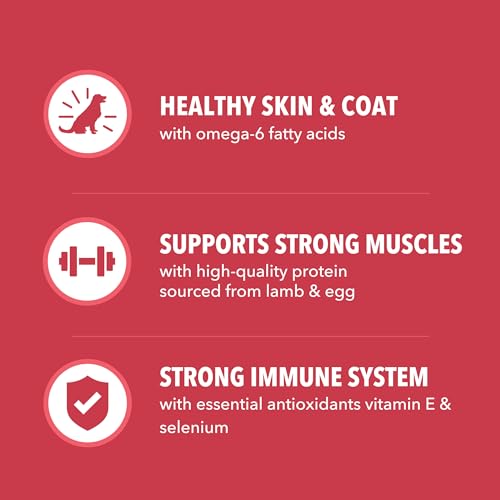 IAMS Proactive Health Minichunks Dry Dog Food, Lamb & Rice