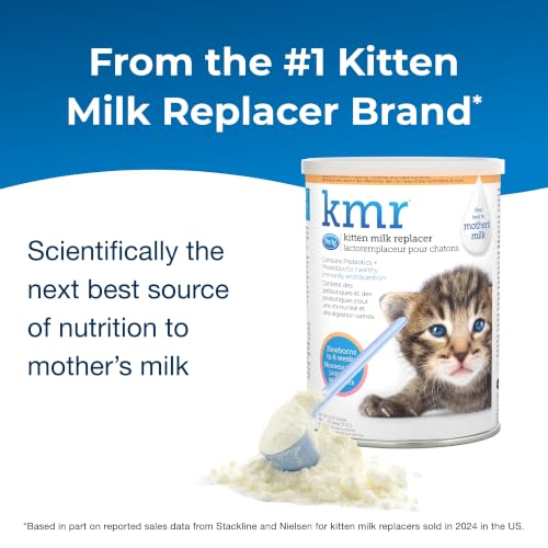 PetAg KMR Kitten Milk Replacer Powder - 12 oz - Powdered Kitten Formula with Prebiot