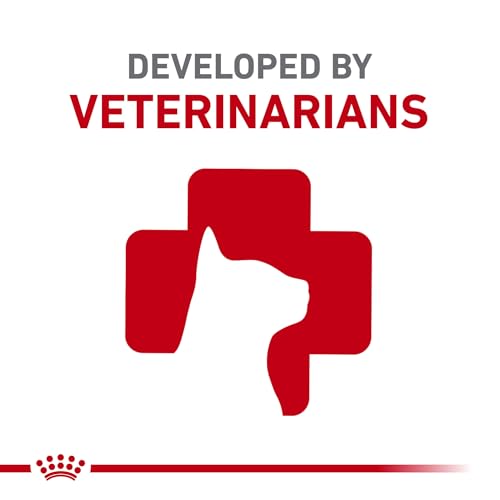 ROYAL CANIN Veterinary Diet Feline and Canine Recovery Adult Ultra Soft Mousse in Sa