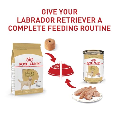 ROYAL CANIN Labrador Retriever Adult Dry Dog Food