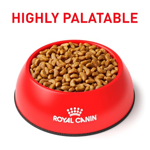 ROYAL CANIN Canine Renal Support S Dry