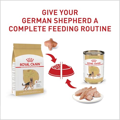 ROYAL CANIN German Shepherd Adult Dry Dog Food