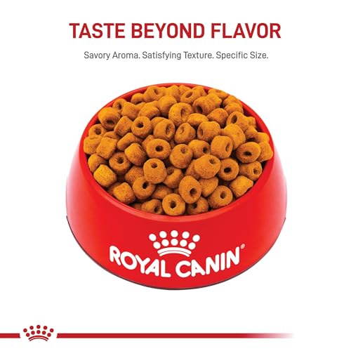 ROYAL CANIN Labrador Retriever Adult Dry Dog Food