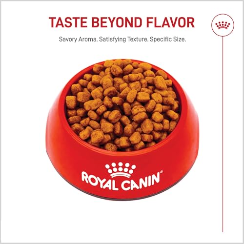 ROYAL CANIN Yorkshire Terrier Adult Dry Dog Food