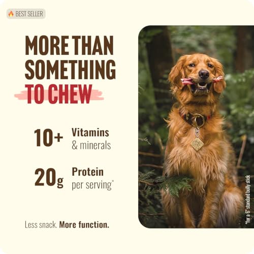 Natural Farm Bully Sticks, Odor-Free, (6 Inch (12 oz)