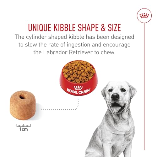 ROYAL CANIN Labrador Retriever Adult Dry Dog Food