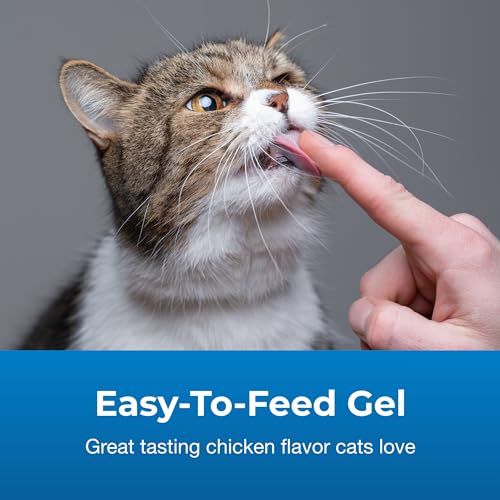 PetAg High Calorie Gel Supplement for Cats (3.5 oz)