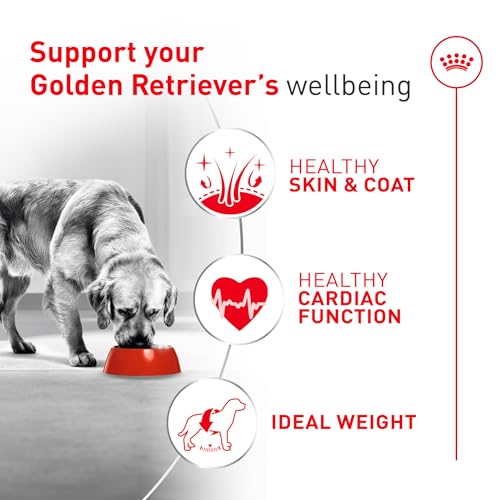 ROYAL CANIN Golden Retriever Adult Dry Dog Food
