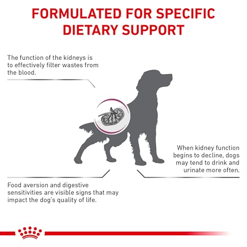 ROYAL CANIN Canine Renal Support S Dry
