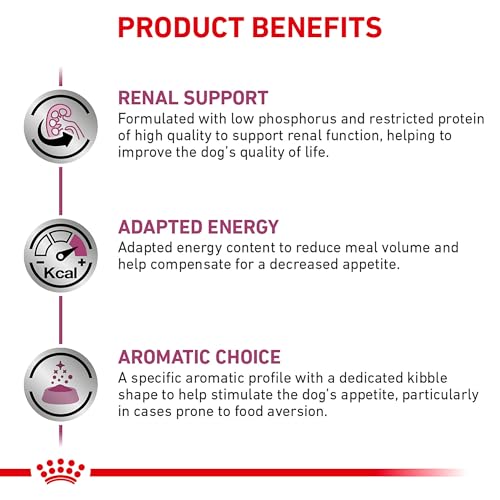 ROYAL CANIN Canine Renal Support S Dry