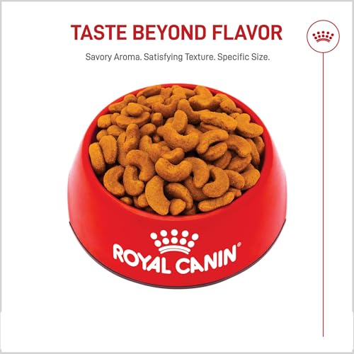 ROYAL CANIN French Bulldog Adult Dry Dog Food