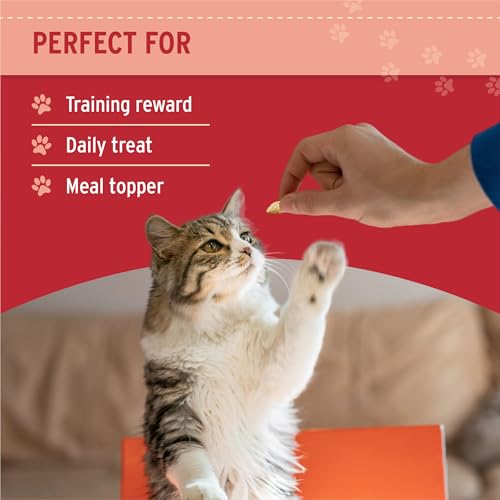 Nutri Bites Freeze Dried Salmon Dog & Cat Treats, Single Ingredient (14 oz)