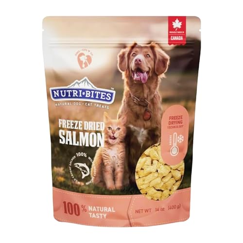 Nutri Bites Freeze Dried Salmon Dog & Cat Treats, Single Ingredient (14 oz)