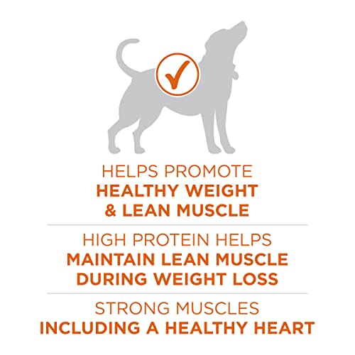 Purina ONE Plus Healthy Weight Dry Dog Food, Real Turkey