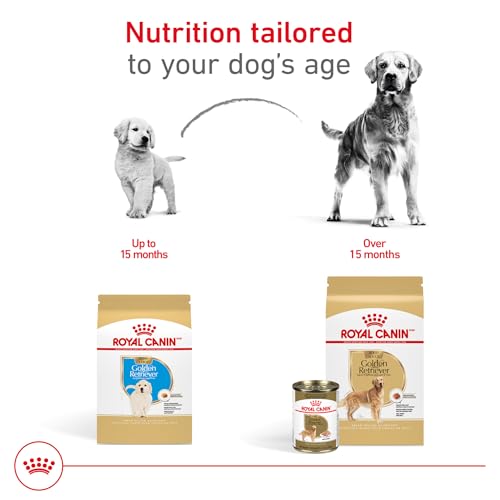 ROYAL CANIN Breed Health Nutrition Golden Retriever Adult Dry Dog Food