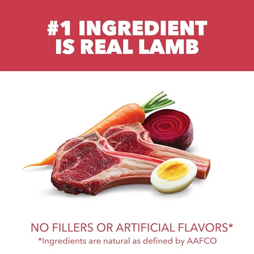 IAMS Proactive Health Minichunks Dry Dog Food, Lamb & Rice