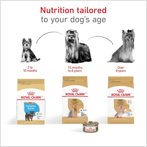 ROYAL CANIN Yorkshire Terrier Adult Dry Dog Food