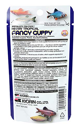 Hikari Fancy Guppy