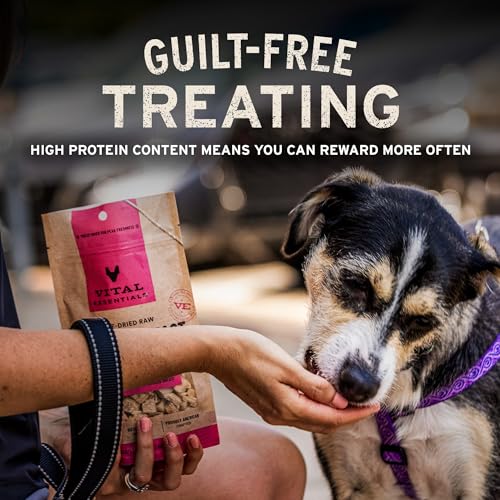 Vital Essentials Freeze Dried Raw Chicken Hearts Dog Treats (1.9 oz)