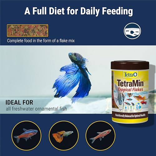 TetraMin Tropical Flakes