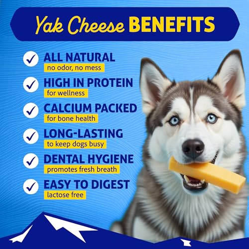 Himalayan Dog Chew Original Large/XL (3-Pack)