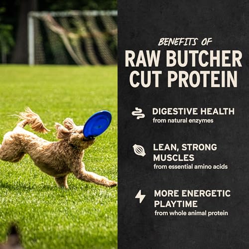 Vital Essentials Freeze Dried Raw Chicken Hearts Dog Treats (1.9 oz)