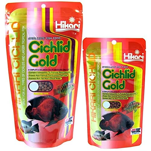 Hikari Cichlid Gold