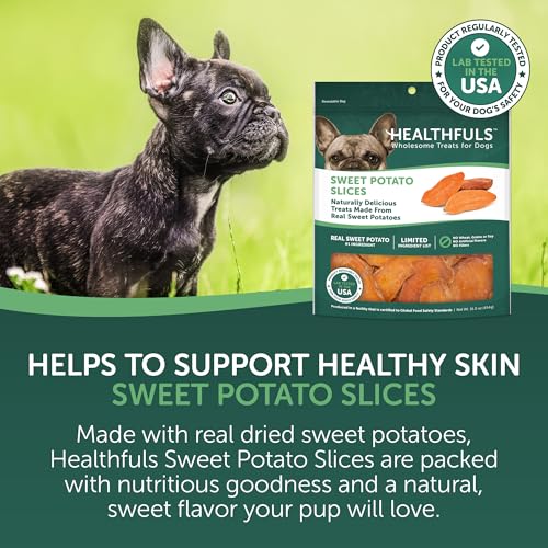 Healthfuls Sweet Potato Slices (16 oz)