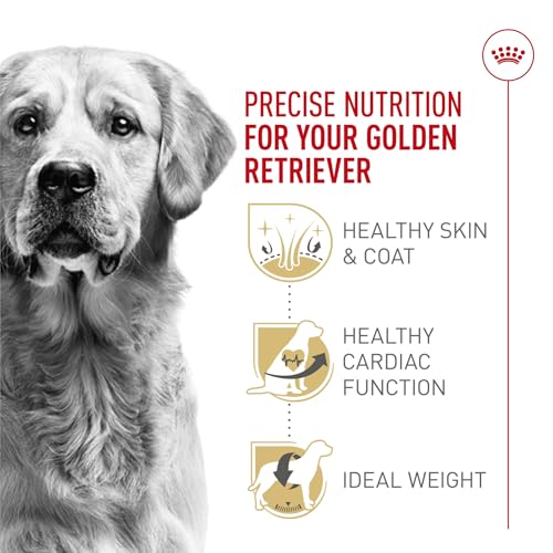 ROYAL CANIN Breed Health Nutrition Golden Retriever Adult Dry Dog Food