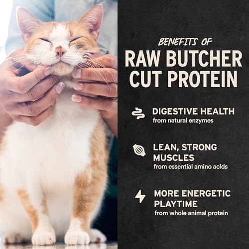 Vital Essentials Freeze Dried Minnows Cat Treats (1.0 oz)